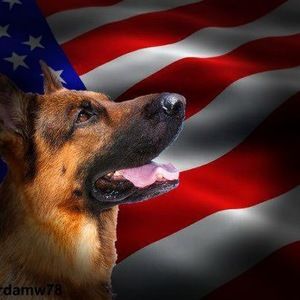 Meet your Posher, Loren